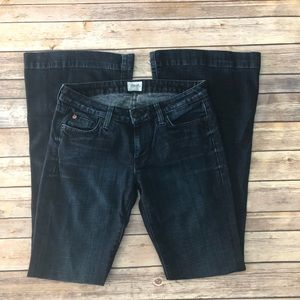 NWOT Hudson Flare Jeans